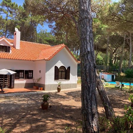 Moradia No Pinhal Com Piscina - Espaco E Privacidade Para As Suas Ferias! Sintra Buitenkant foto