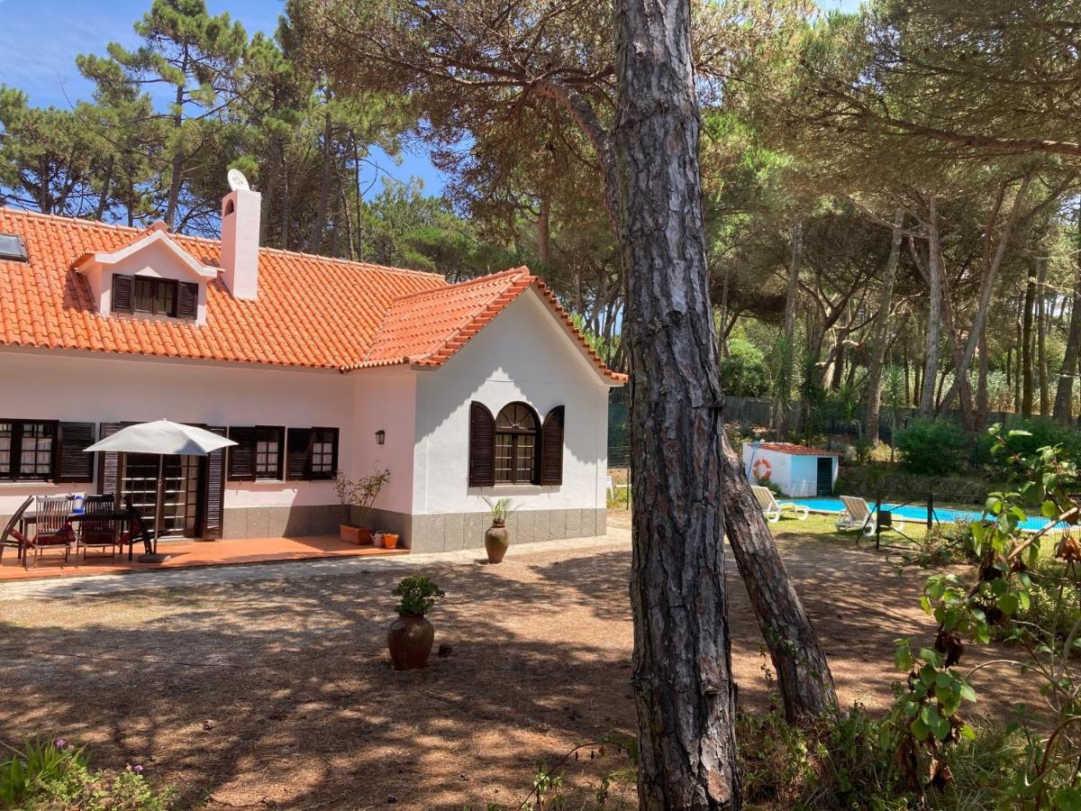Moradia No Pinhal Com Piscina - Espaco E Privacidade Para As Suas Ferias! Sintra Buitenkant foto