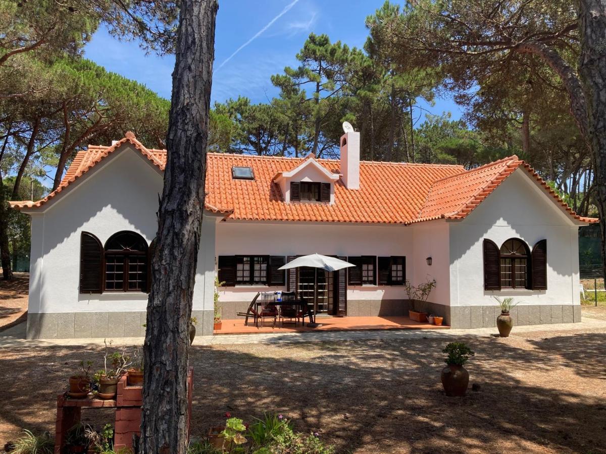 Moradia No Pinhal Com Piscina - Espaco E Privacidade Para As Suas Ferias! Sintra Buitenkant foto
