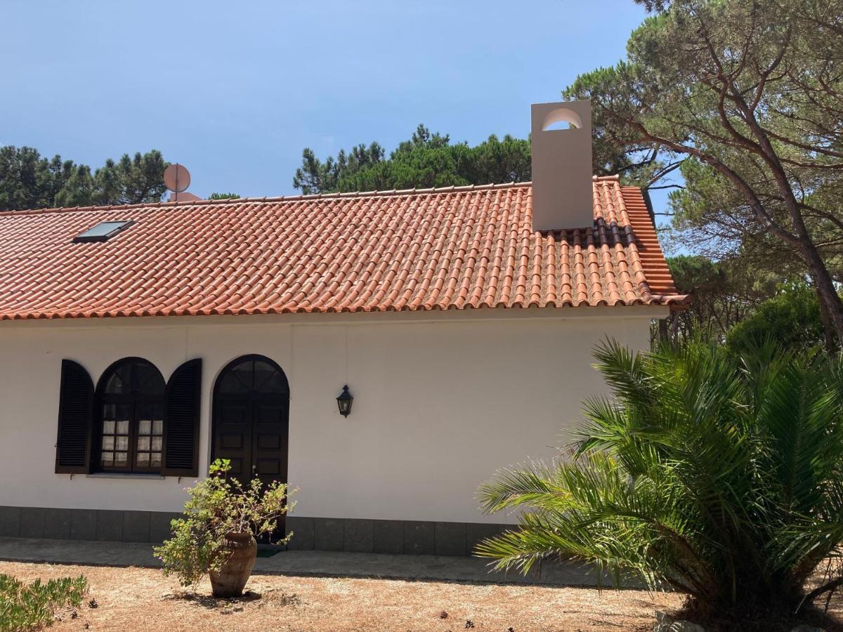 Moradia No Pinhal Com Piscina - Espaco E Privacidade Para As Suas Ferias! Sintra Buitenkant foto