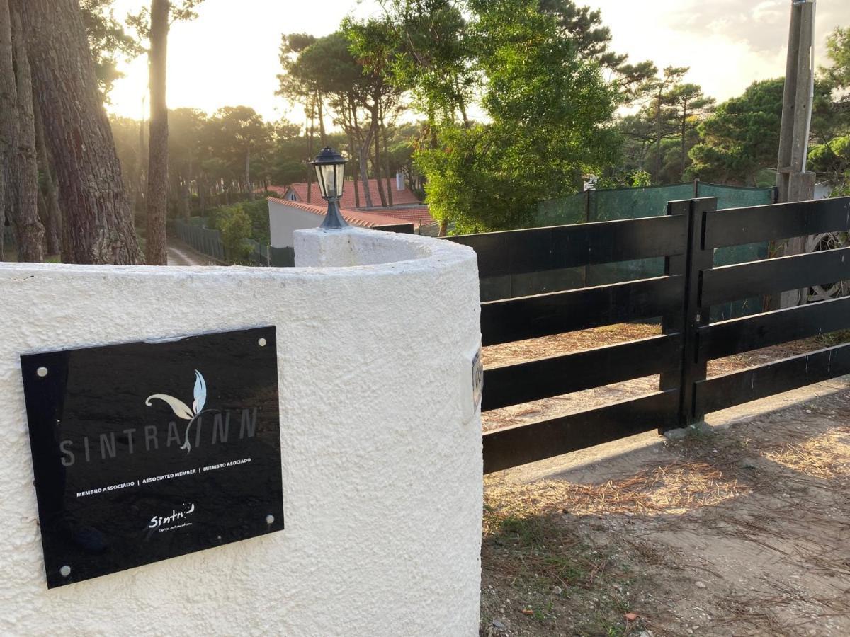 Moradia No Pinhal Com Piscina - Espaco E Privacidade Para As Suas Ferias! Sintra Buitenkant foto